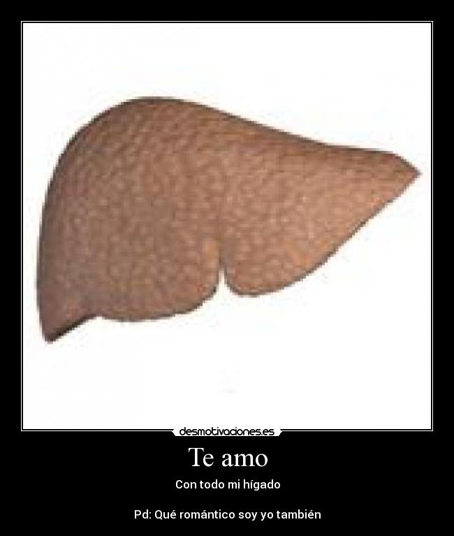 Te amo - Con todo mi hígado
Pd: Qué romántico soy yo también
