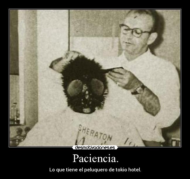 Paciencia. -