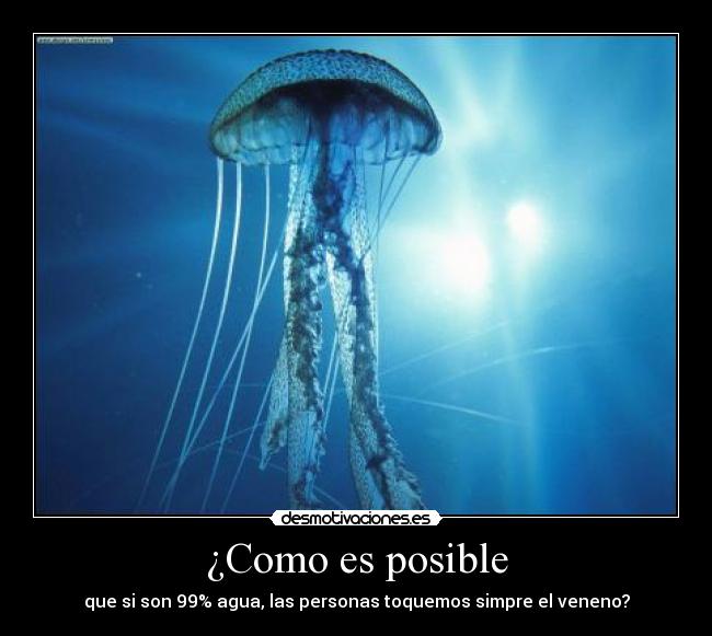 ¿Como es posible - que si son 99% agua, las personas toquemos simpre el veneno?
