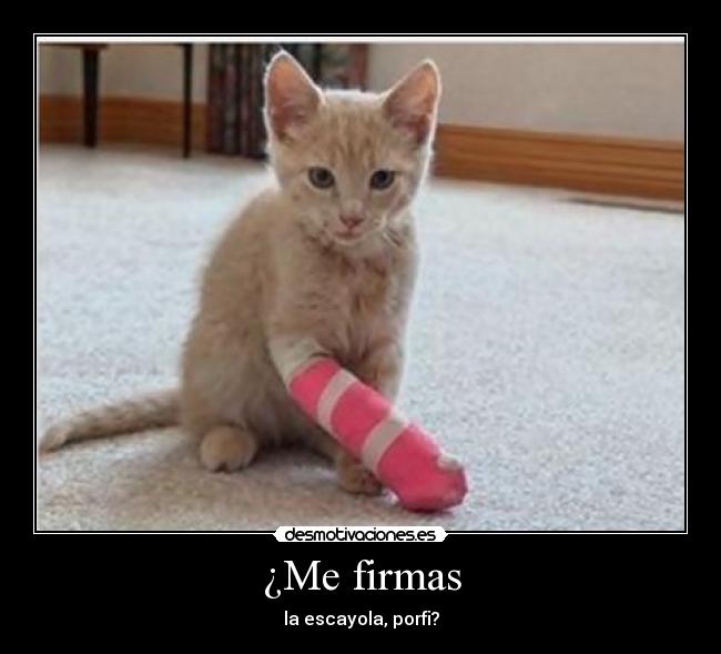 ¿Me firmas - la escayola, porfi?