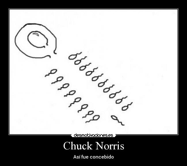 Chuck Norris - Así fue concebido