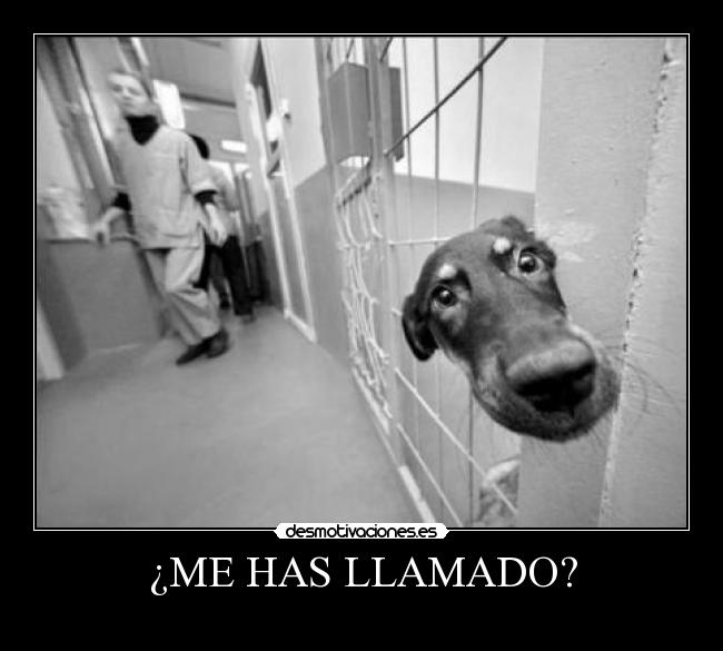 ¿ME HAS LLAMADO? -
