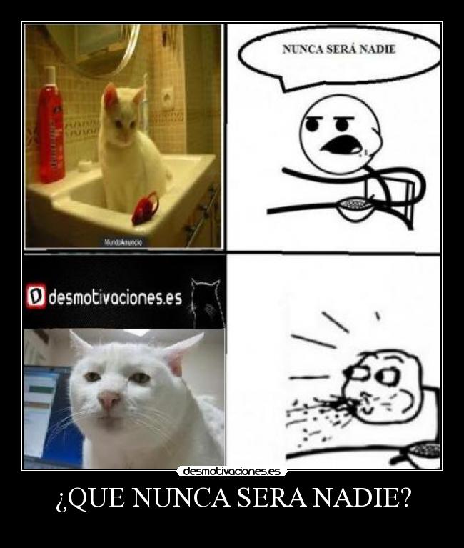 carteles creo que equivocas desmotivaciones