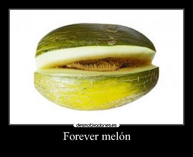 Forever melón - 