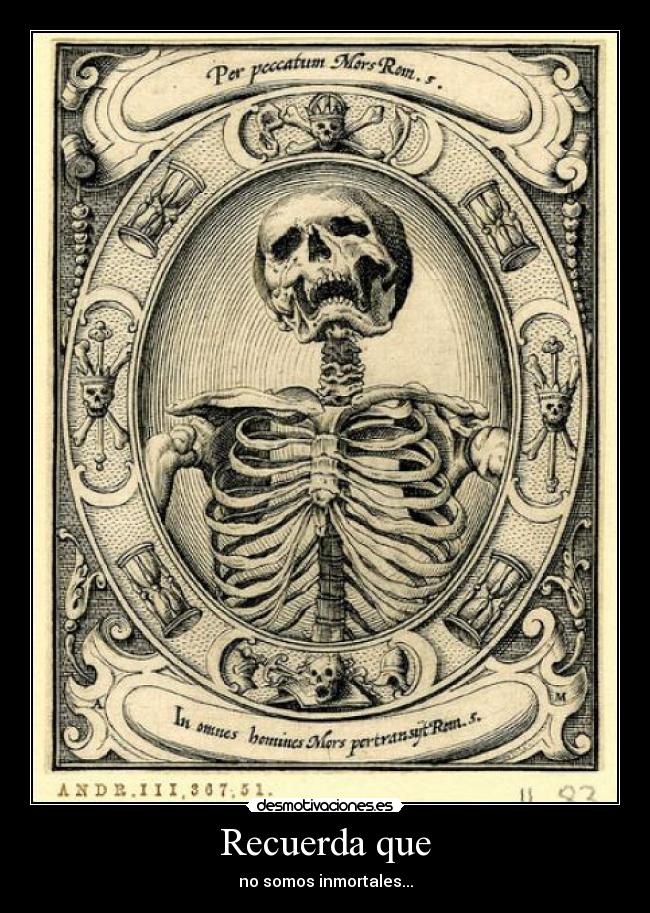 carteles memento mori desmotivaciones