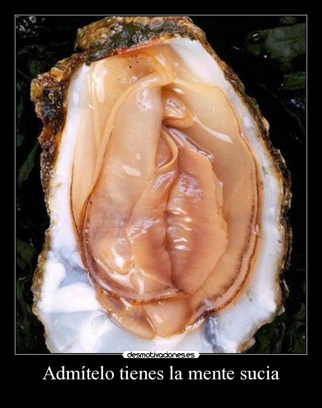 Admítelo tienes la mente sucia -
