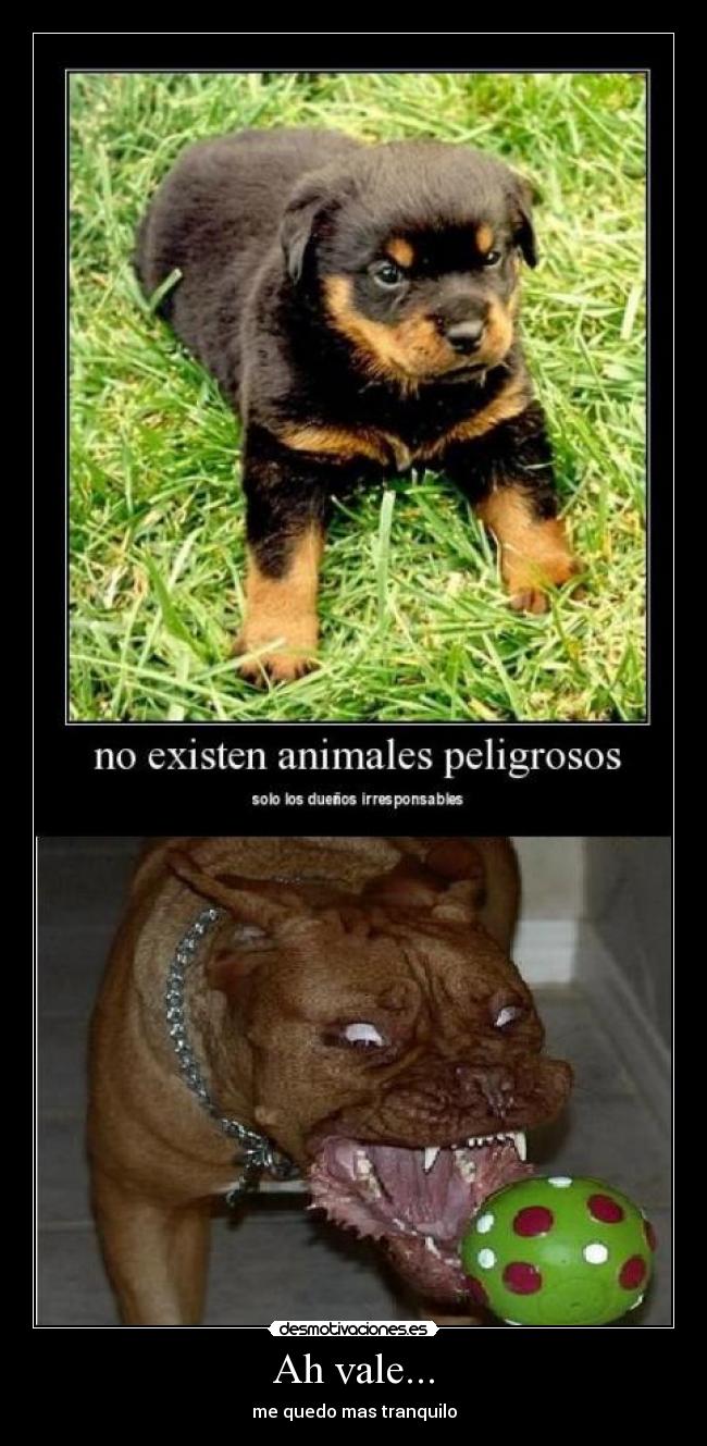 Ah vale... - me quedo mas tranquilo