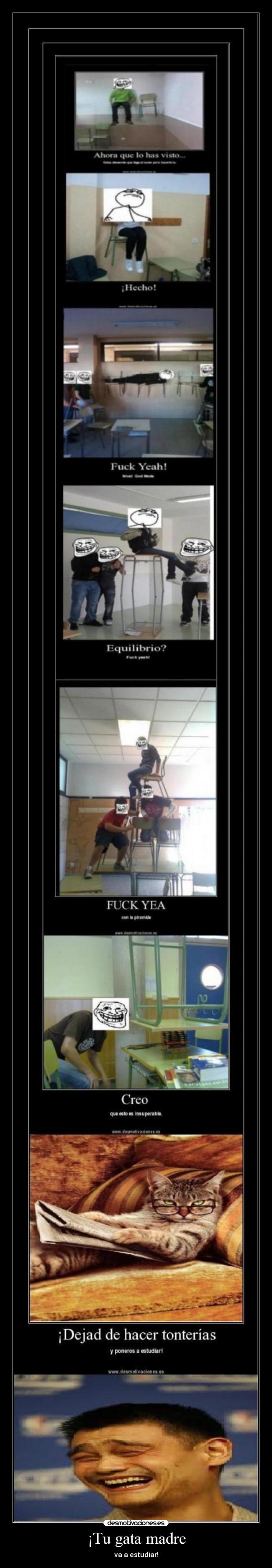 ¡Tu gata madre - va a estudiar!