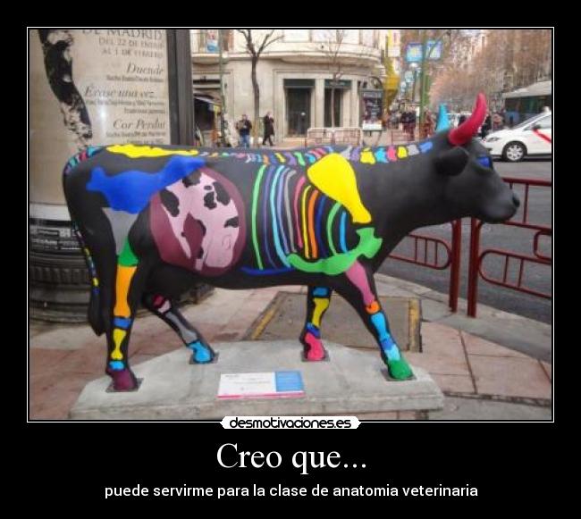 carteles puede servirme para anatomia veterinaria desmotivaciones