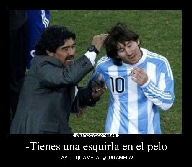 -Tienes una esquirla en el pelo - - AY ¡¡QITAMELA!! ¡¡QUITAMELA!!