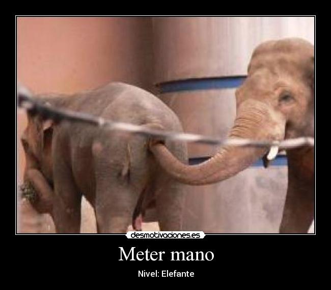 Meter mano - Nivel: Elefante