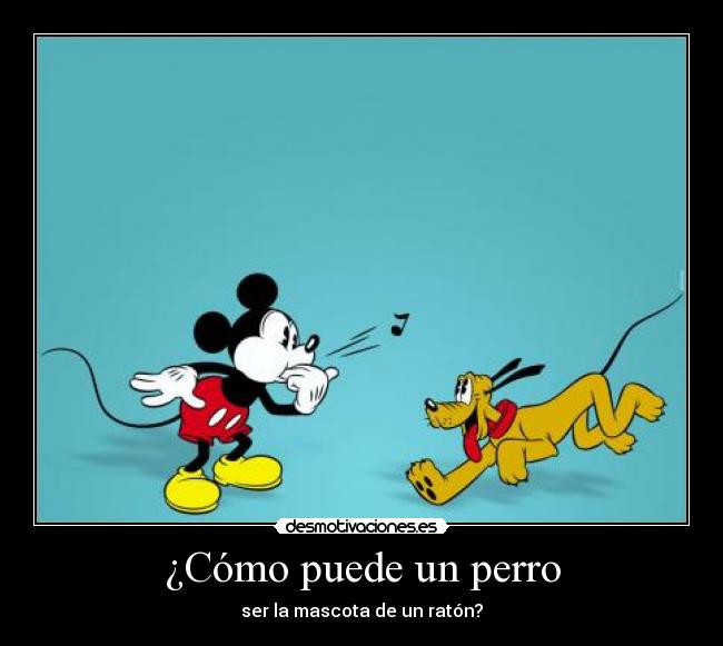 ¿Cómo puede un perro -