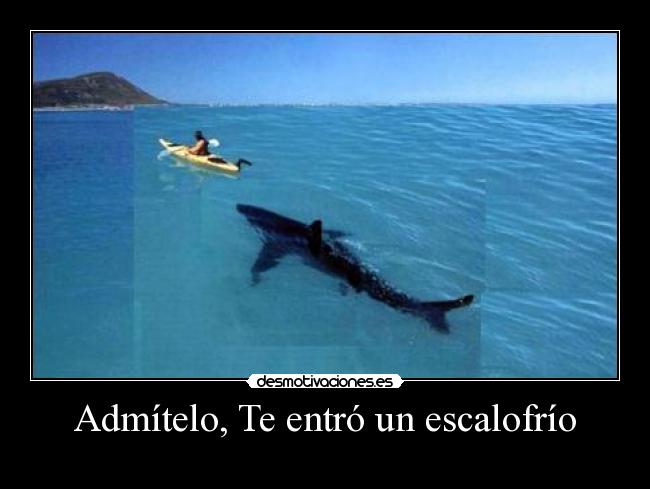 Admítelo, Te entró un escalofrío -