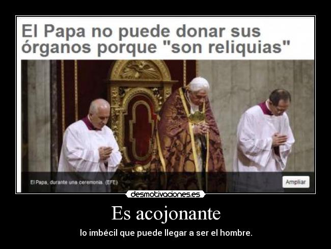 Es acojonante - lo imbécil que puede llegar a ser el hombre.