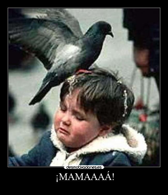 ¡MAMAAAÁ! - 