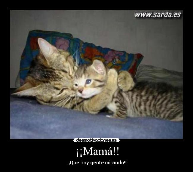 ¡¡Mamá!! - 