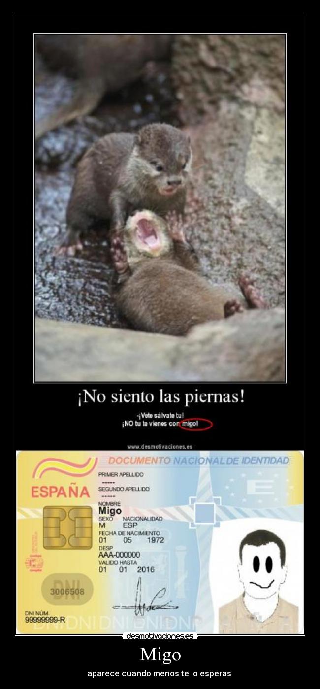 Migo - aparece cuando menos te lo esperas
