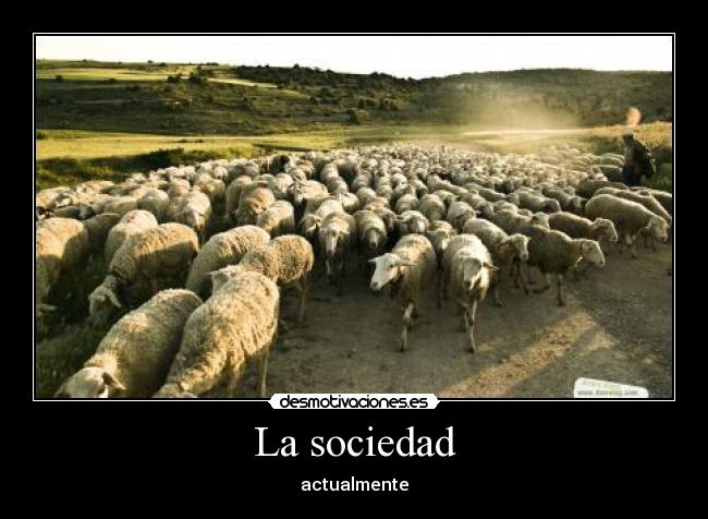 La sociedad - actualmente