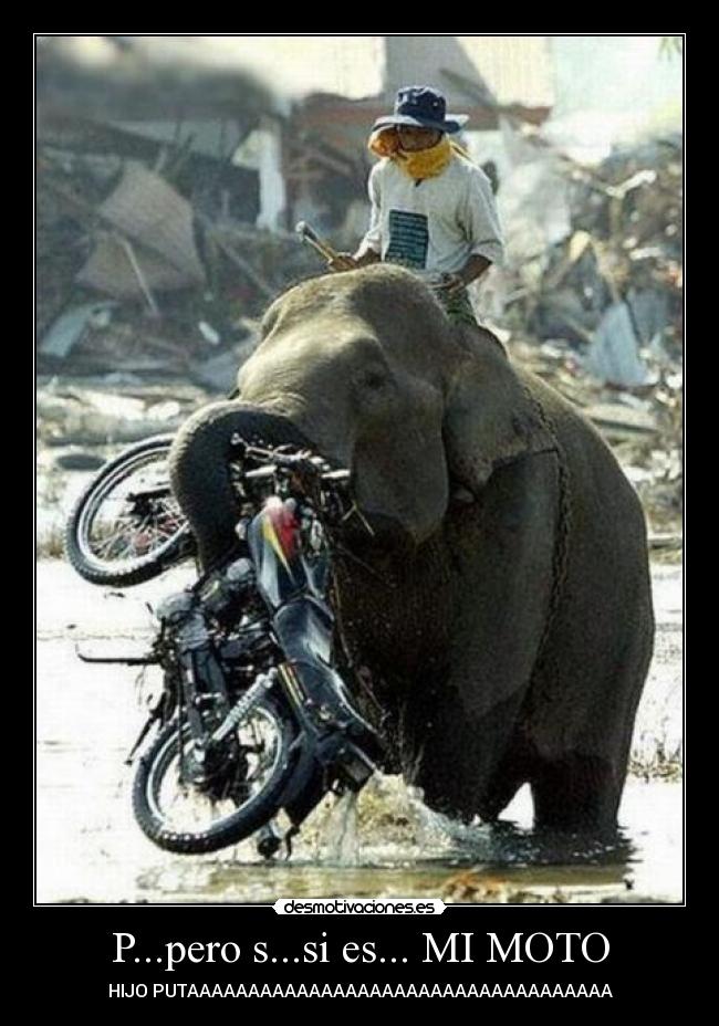 P...pero s...si es... MI MOTO - HIJO PUTAAAAAAAAAAAAAAAAAAAAAAAAAAAAAAAAAAA