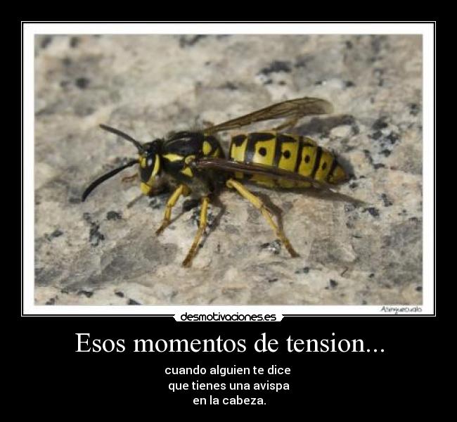 Esos momentos de tension... -