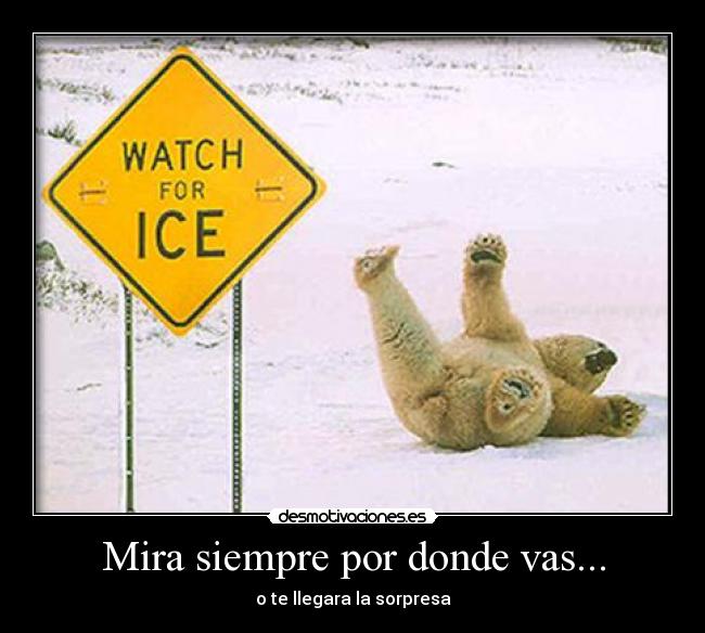 Mira siempre por donde vas... - 