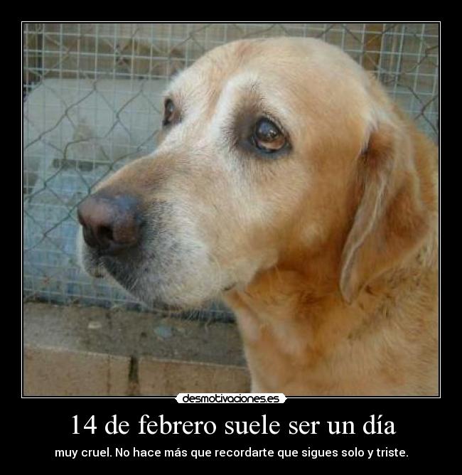 14 de febrero suele ser un día -