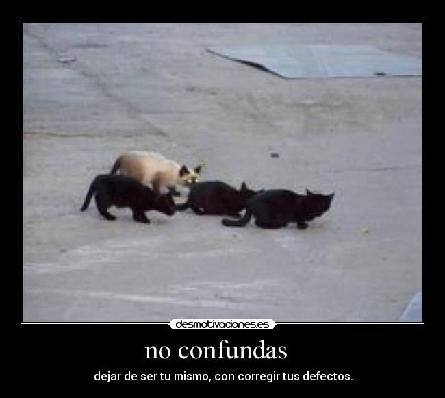 no confundas -