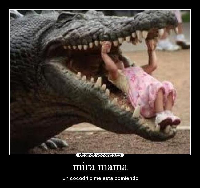 mira mama - un cocodrilo me esta comiendo