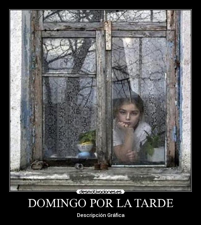 DOMINGO POR LA TARDE -