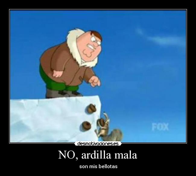 NO, ardilla mala - son mis bellotas