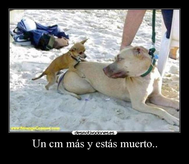 Un cm más y estás muerto.. - 