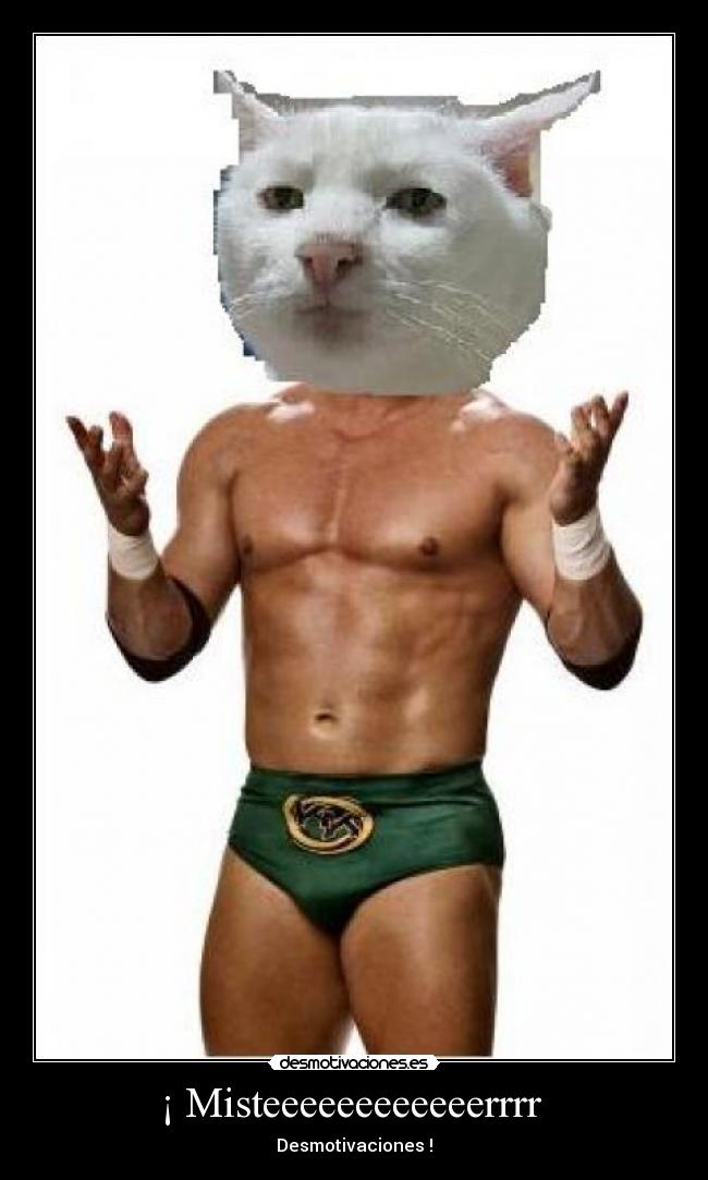 ¡ Misteeeeeeeeeeeerrrr -