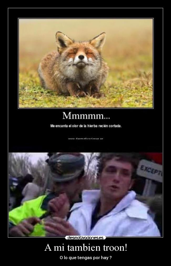 A mi tambien troon! - O lo que tengas por hay ?