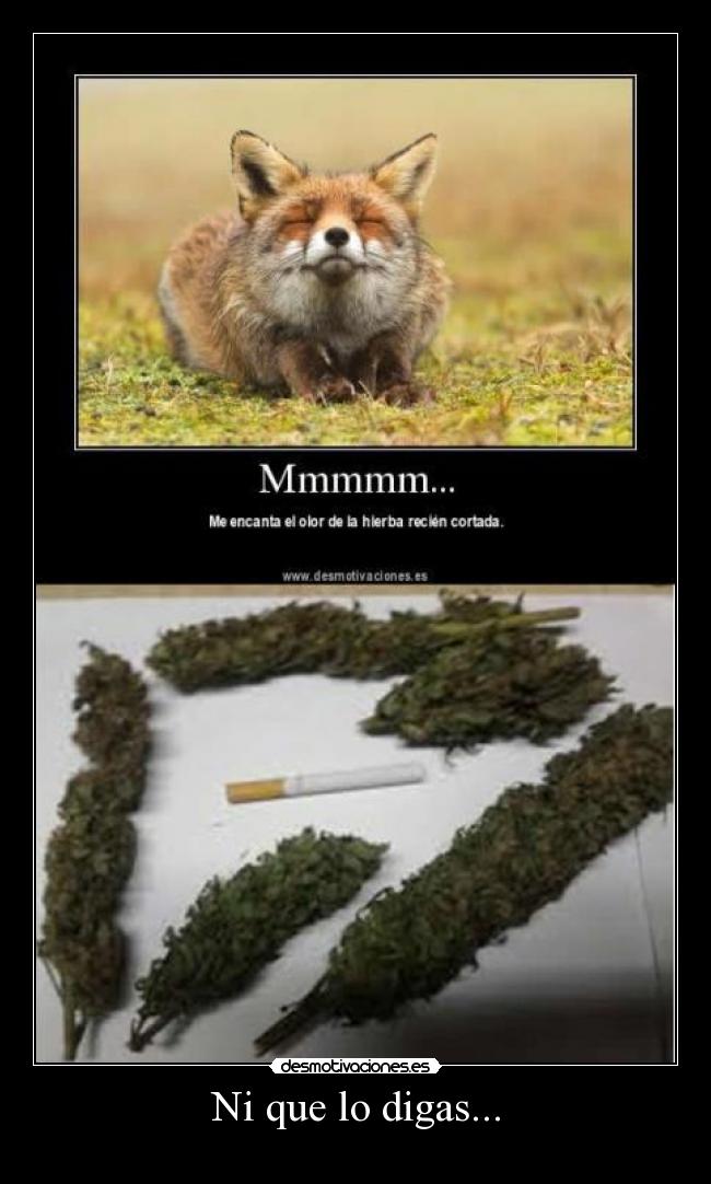 Ni que lo digas... - 