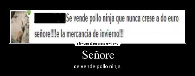 carteles senore desmotivaciones