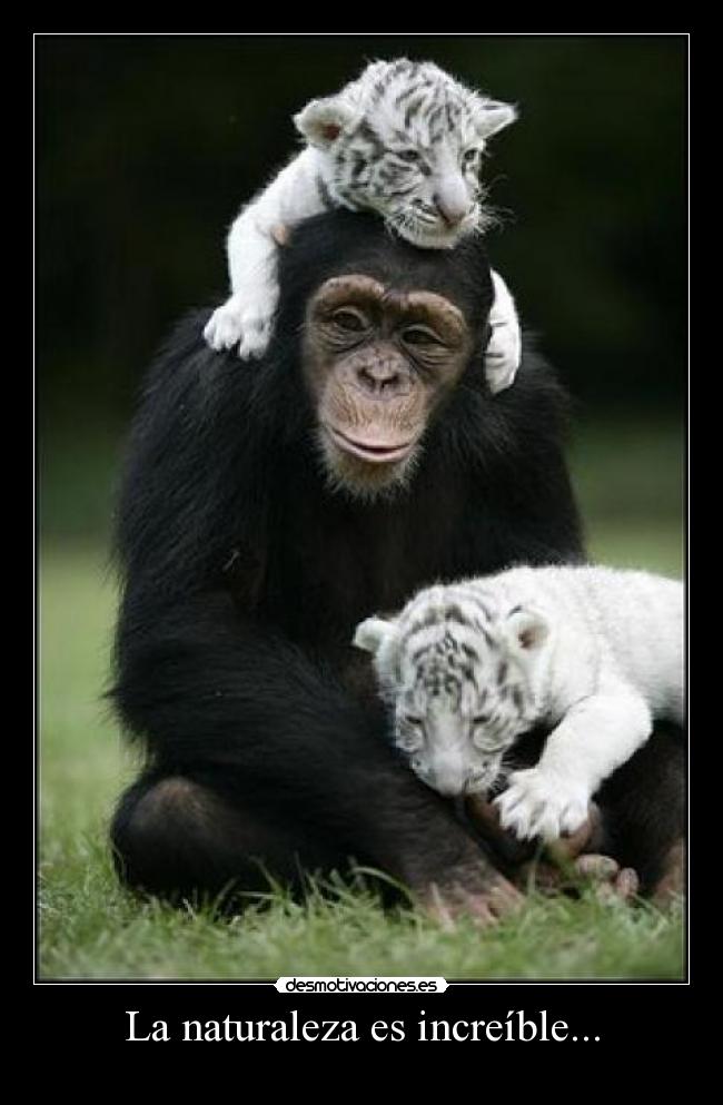 La naturaleza es increíble... -