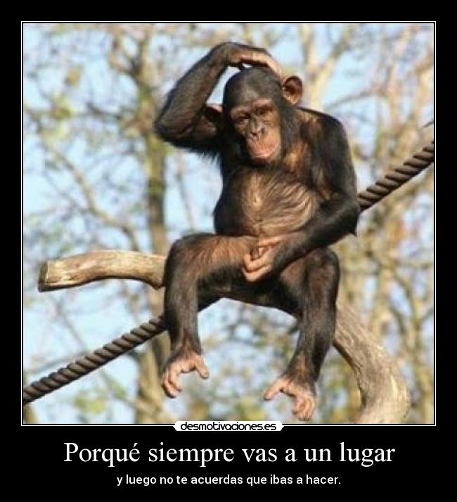 Porqué siempre vas a un lugar -