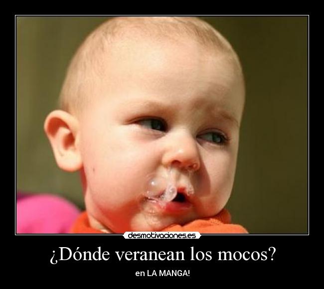 ¿Dónde veranean los mocos? -