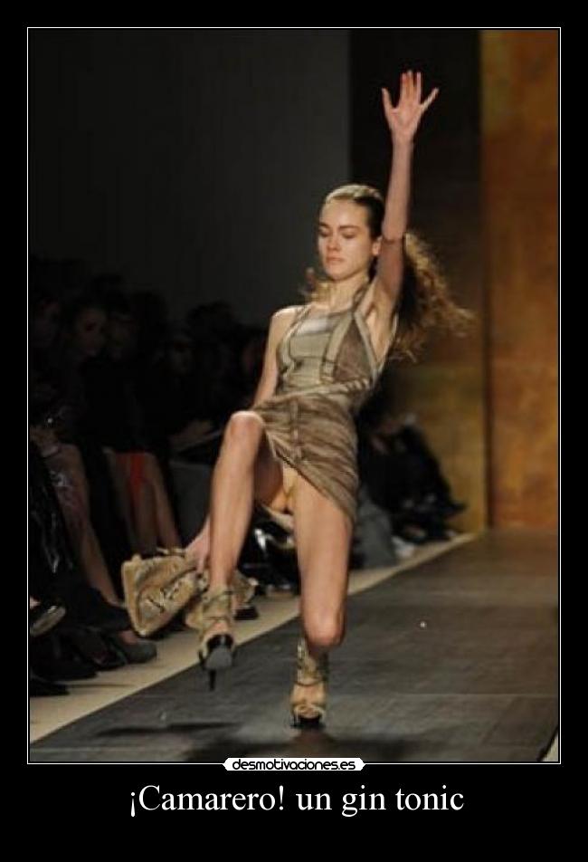 ¡Camarero! un gin tonic -
