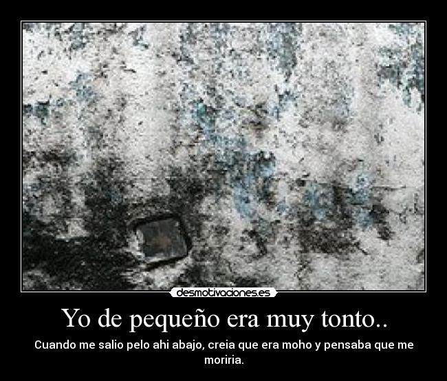 Yo de pequeño era muy tonto.. - Cuando me salio pelo ahi abajo, creia que era moho y pensaba que me moriria.