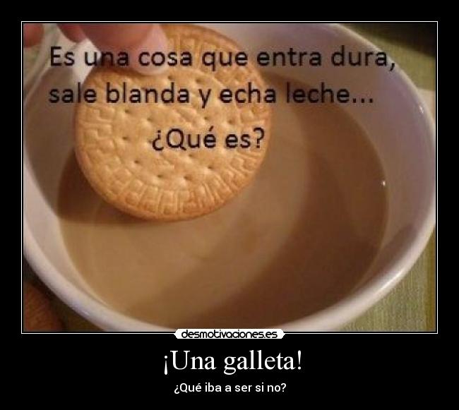 ¡Una galleta! -