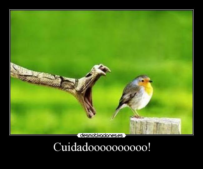 Cuidadoooooooooo! - 