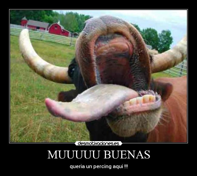 MUUUUU BUENAS - queria un percing aqui !!!