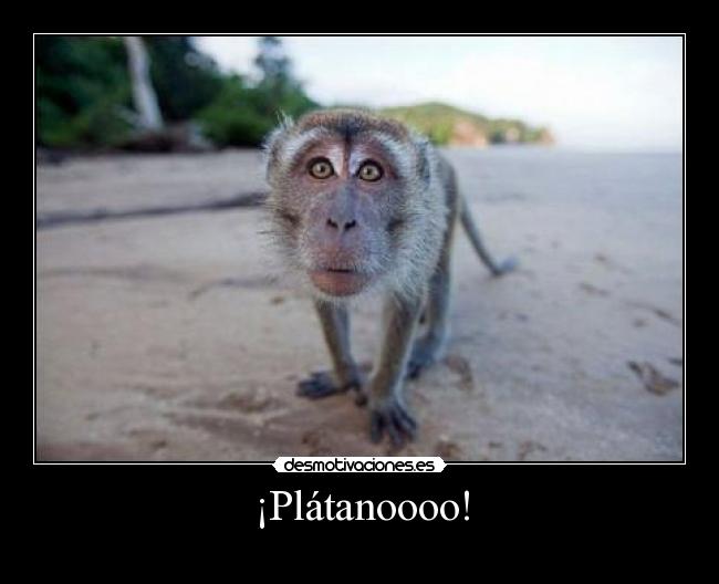 ¡Plátanoooo! -
