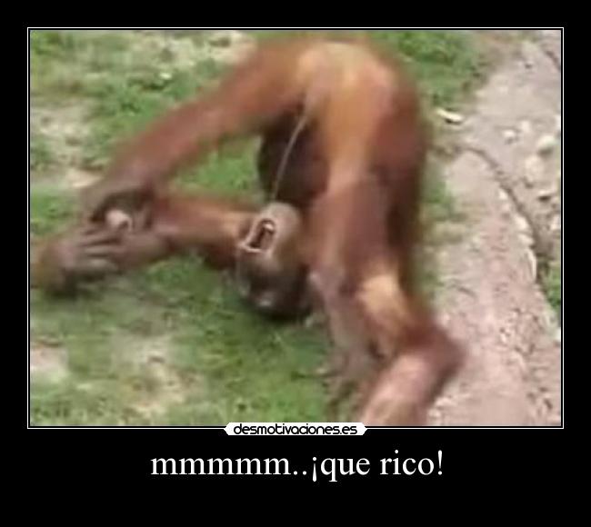 mmmmm..¡que rico! - 