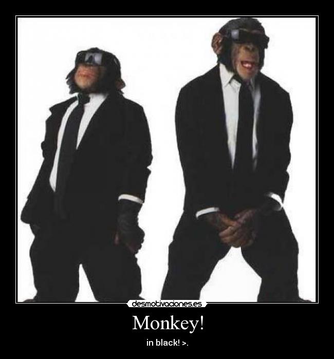 Monkey! - in black! >.