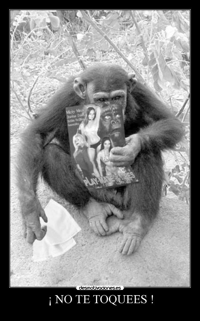 carteles toquees desmotivaciones