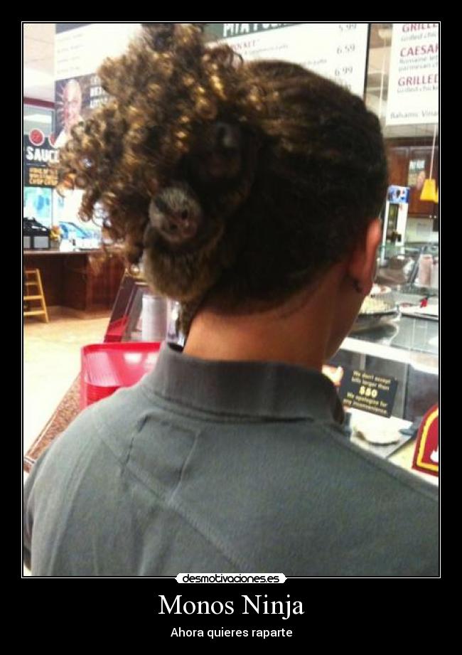 Monos Ninja -