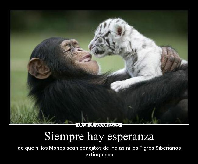 Siempre hay esperanza - 