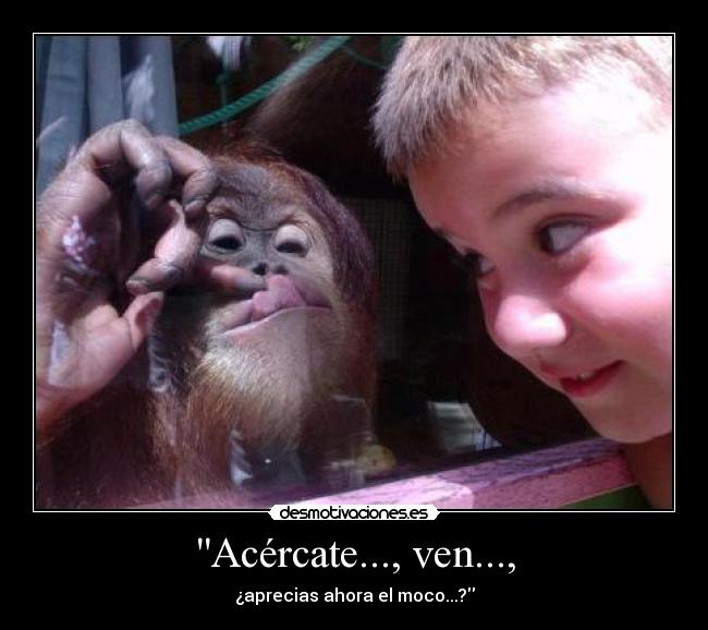 Acércate..., ven..., - 